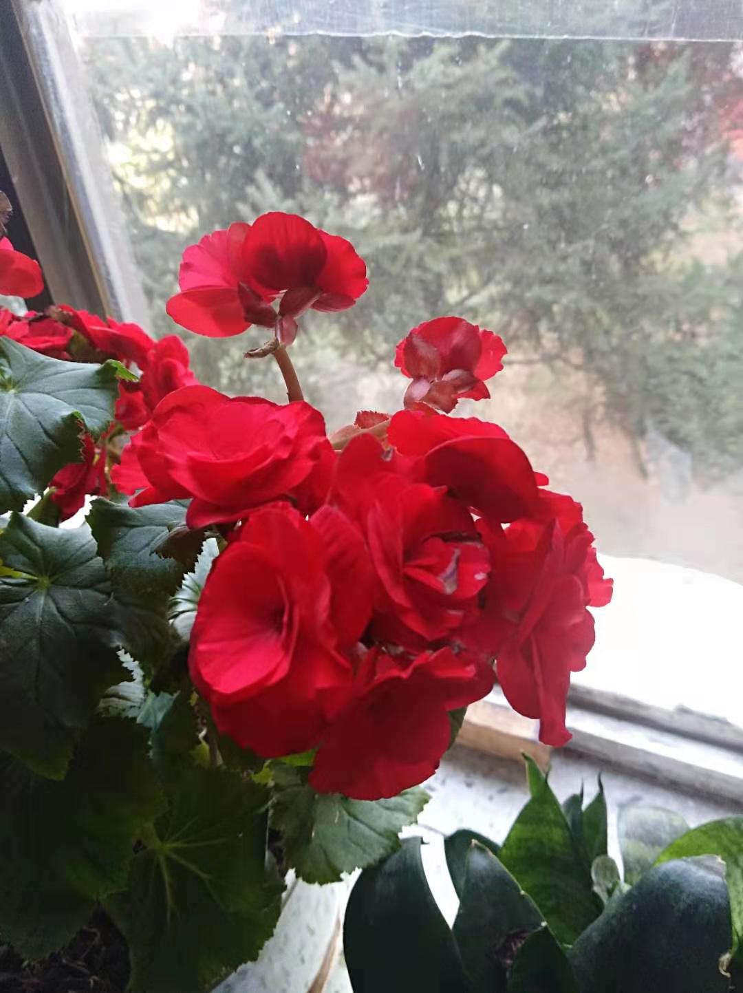 微信图片_20210519150401.jpg