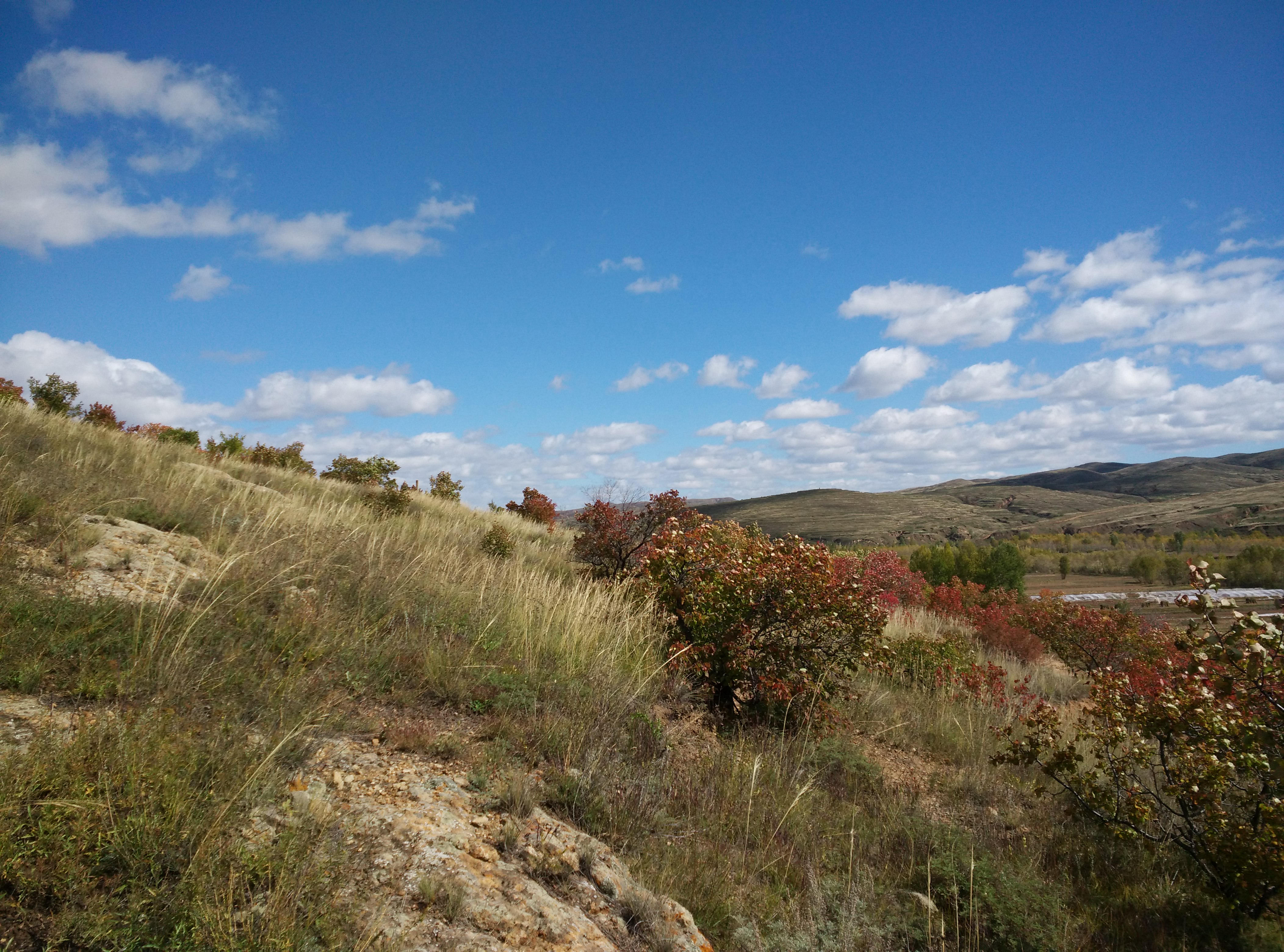 IMG_20151001_113758.jpg