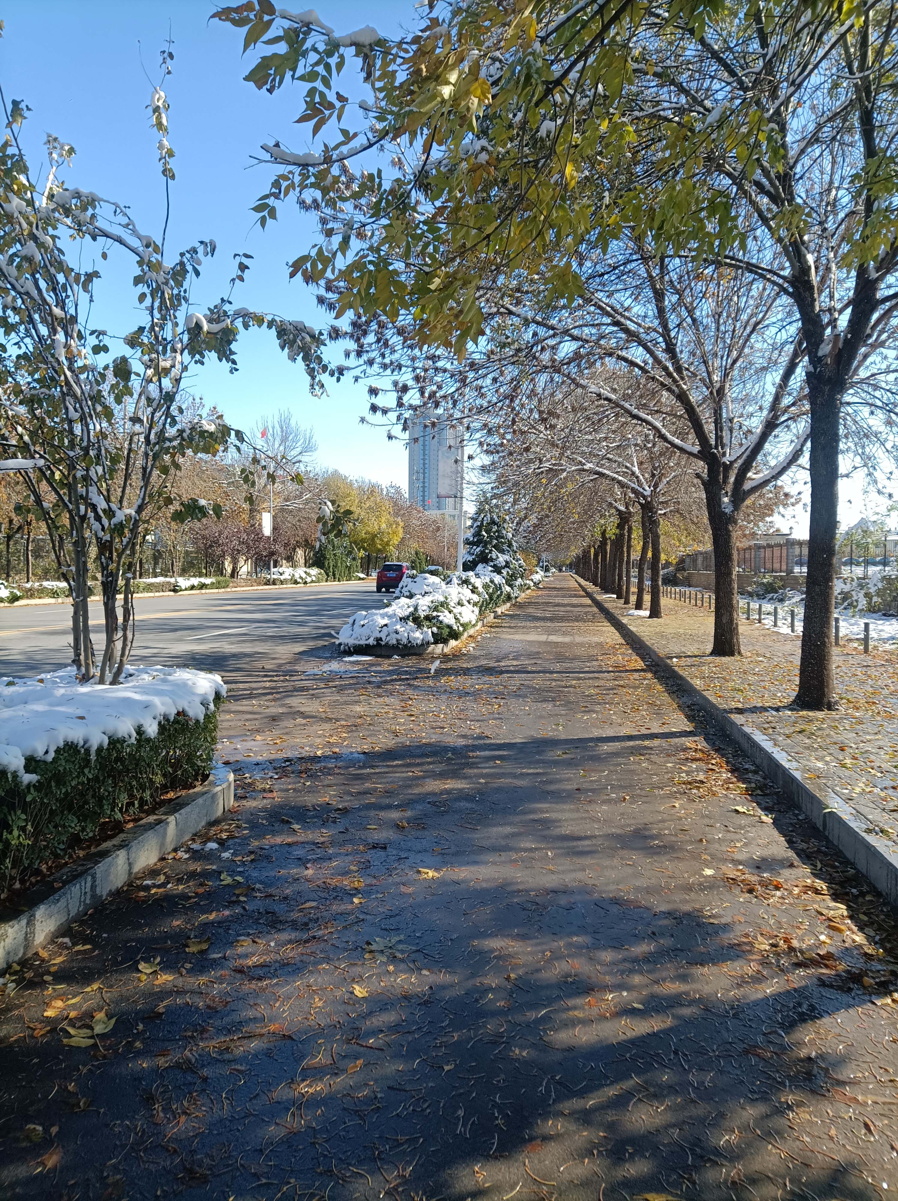 雪后街景  郑金玉 jpg