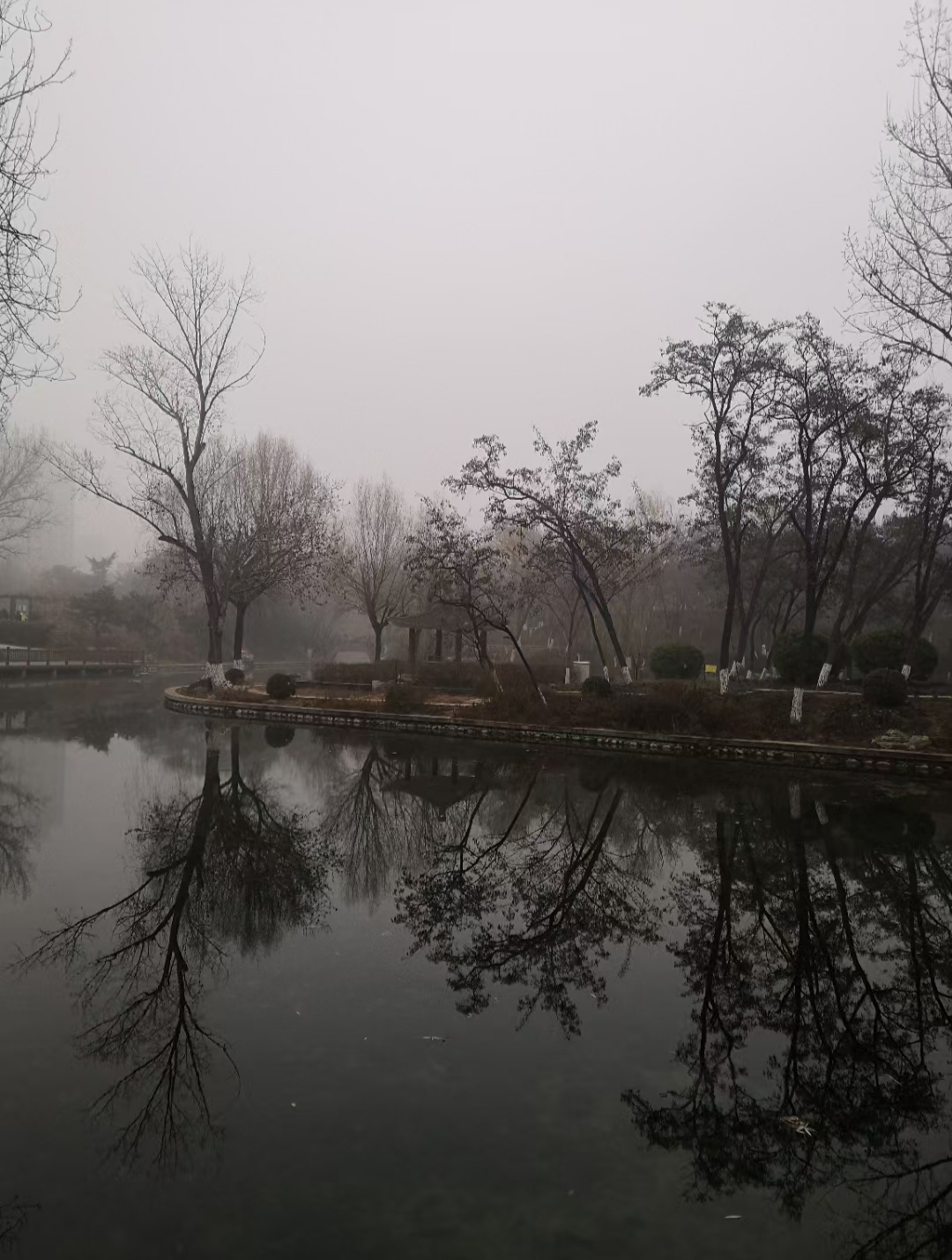 另一种美.jpg