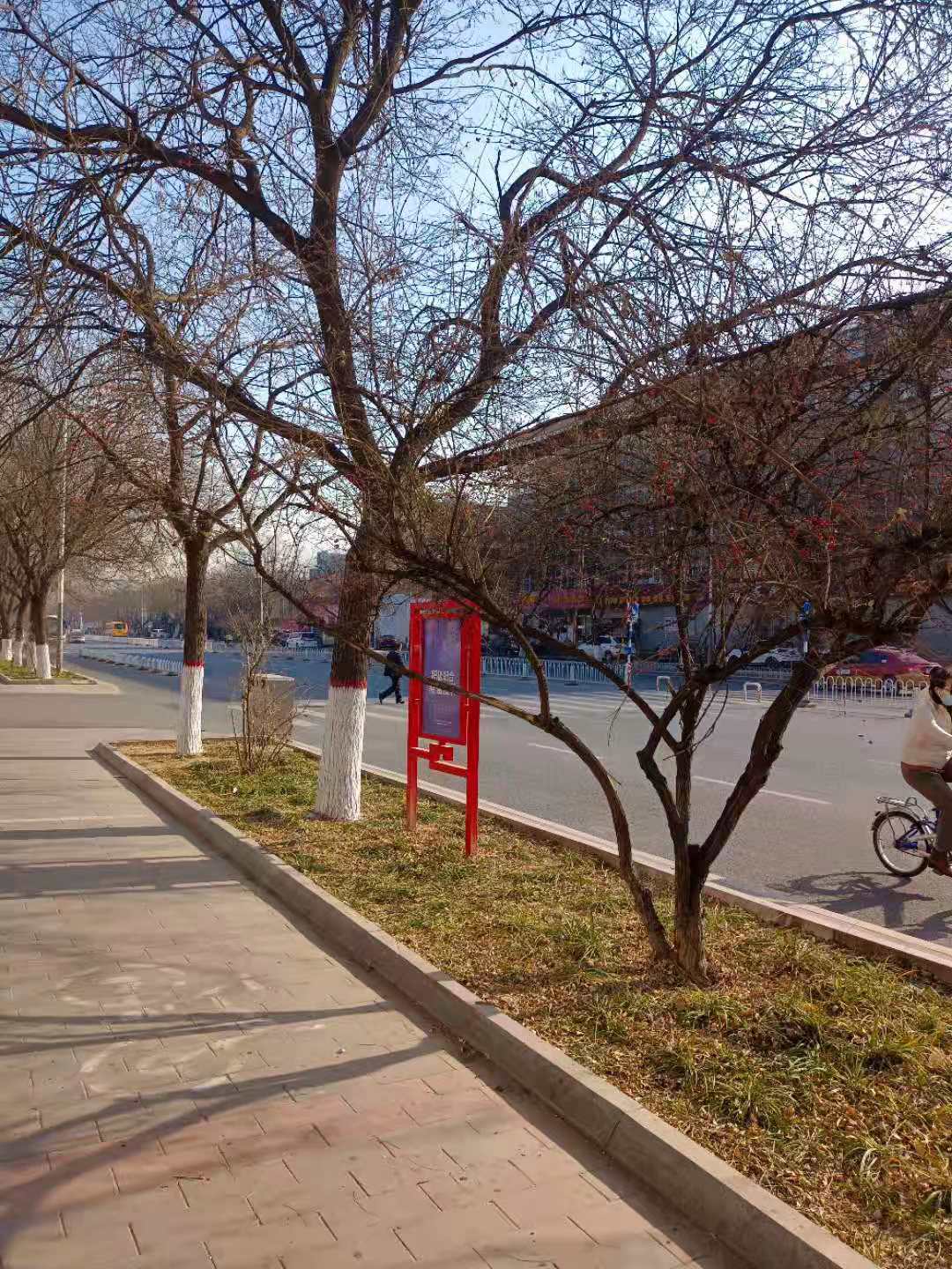 冬至的午后.jpg