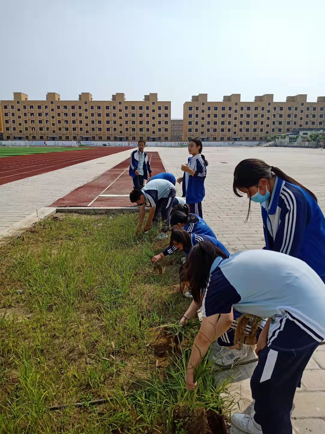 2021年9月2日,涿州市义和庄中学刘建国利用劳动实践课,带领学生们捡拾