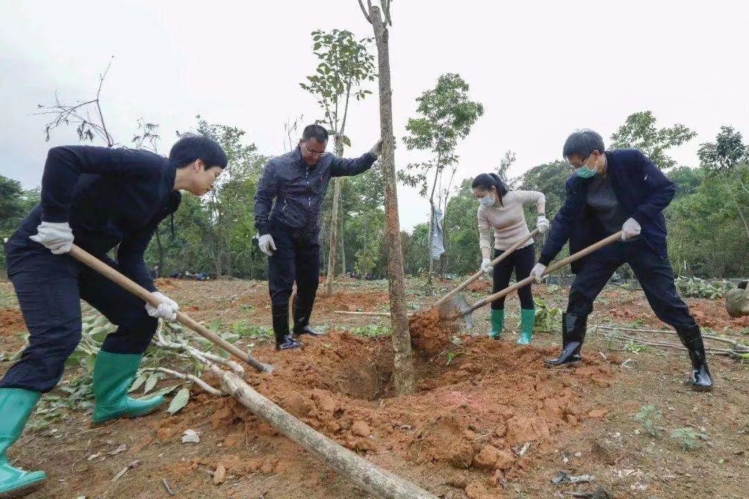 植树绿化2.jpg