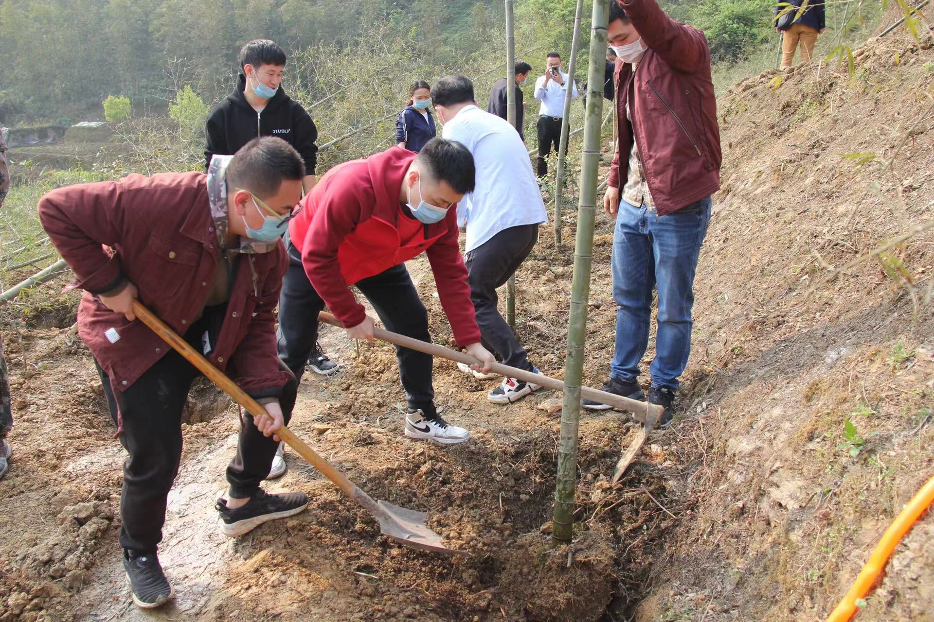 植树绿化1.jpg