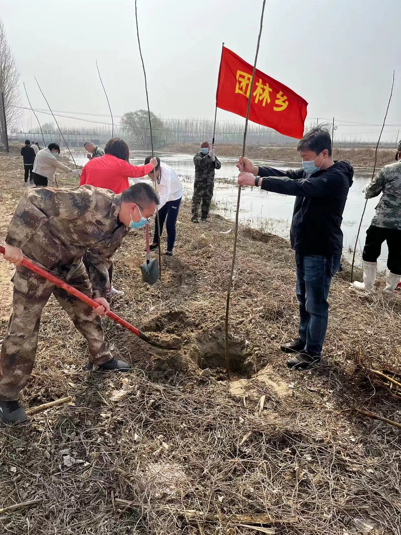 冯庄村义务植树1.jpg