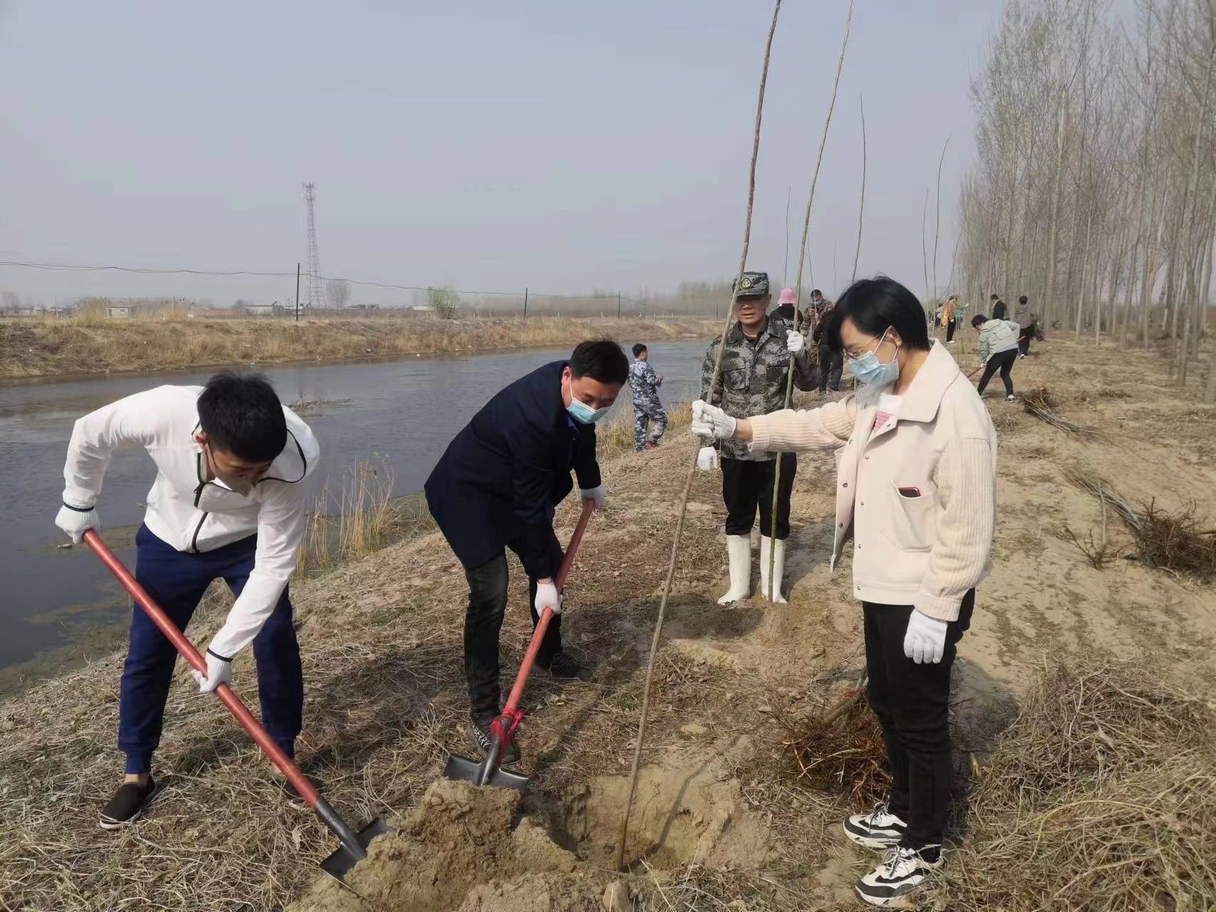 冯庄村义务植树3.jpg