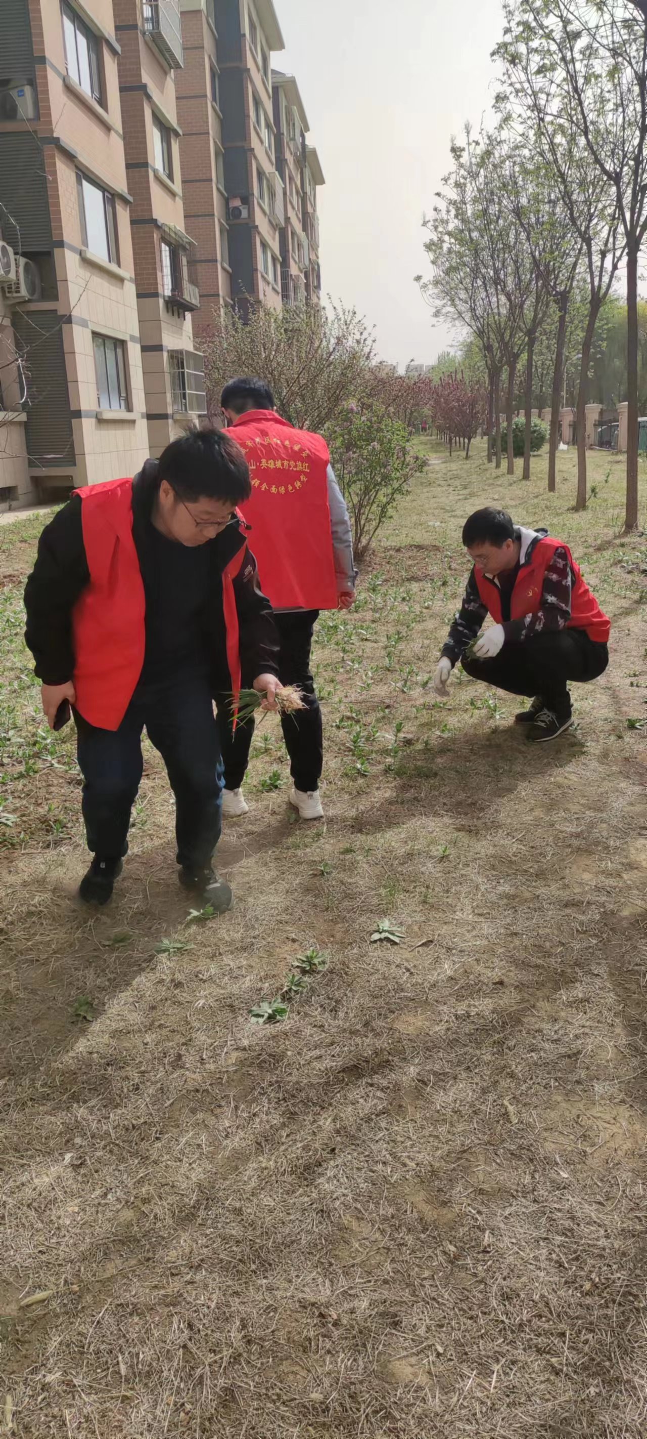 4月15日盛和社区做卫生.jpg