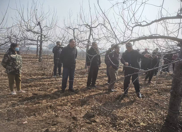 微信图片_20250305161213.png