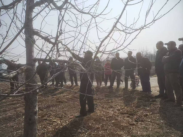 微信图片_20250305161431.png