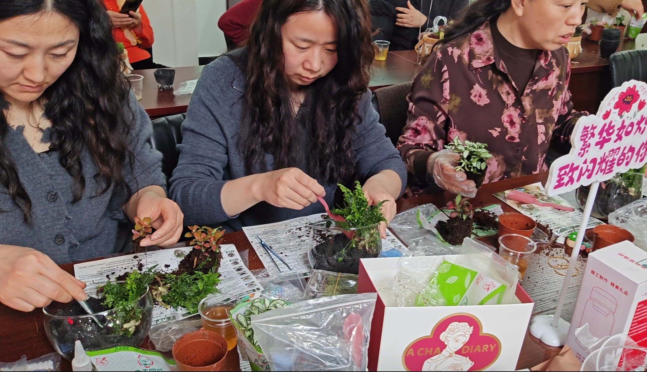 徐水公司庆三八活动--绿植手作DIY.jpg