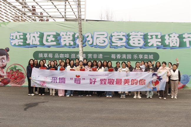 _MG_346500.jpg