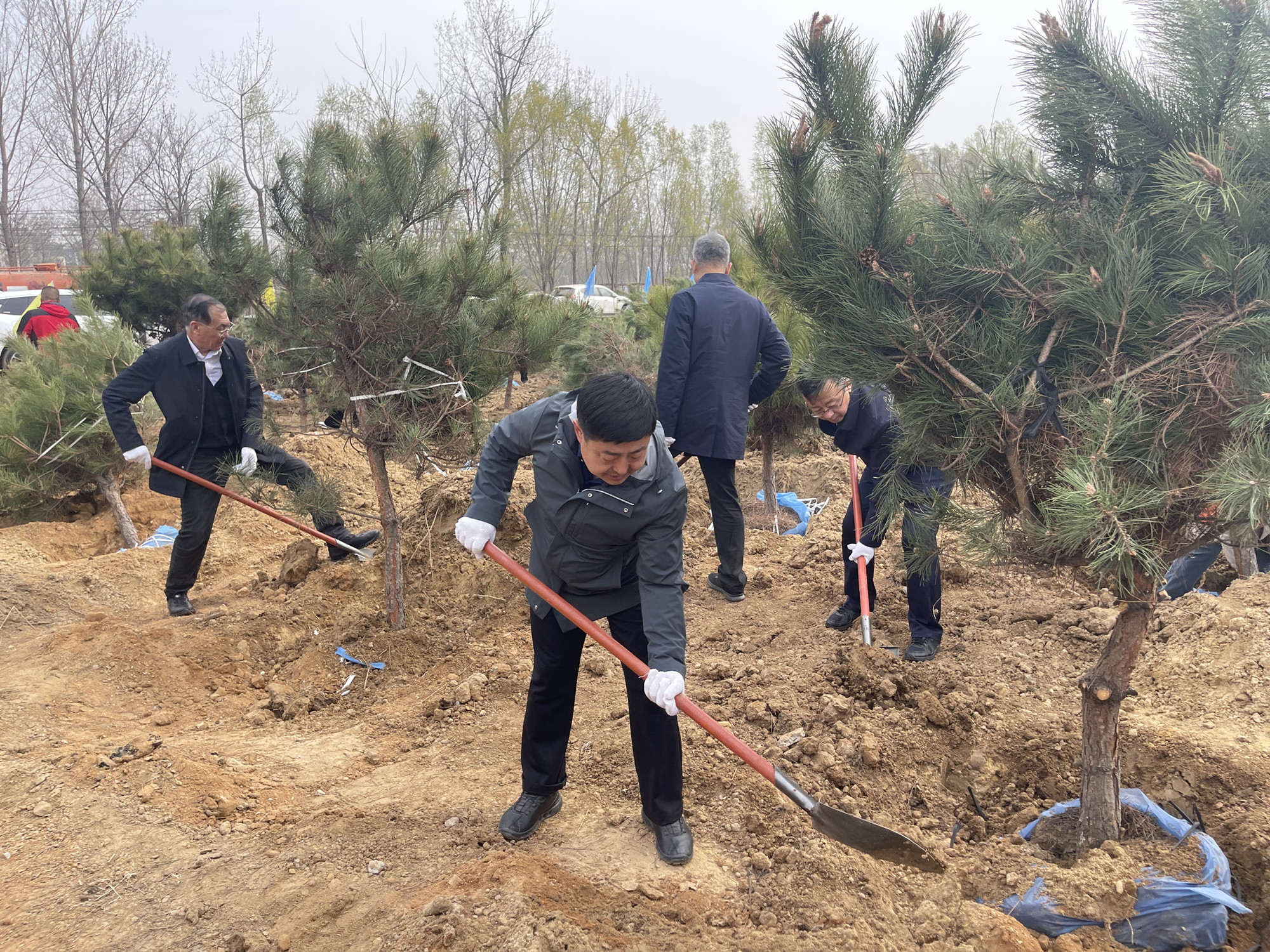 微信图片_20250407102007_副本_副本.jpg