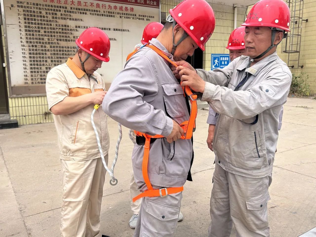 微信图片_20250529093610.jpg