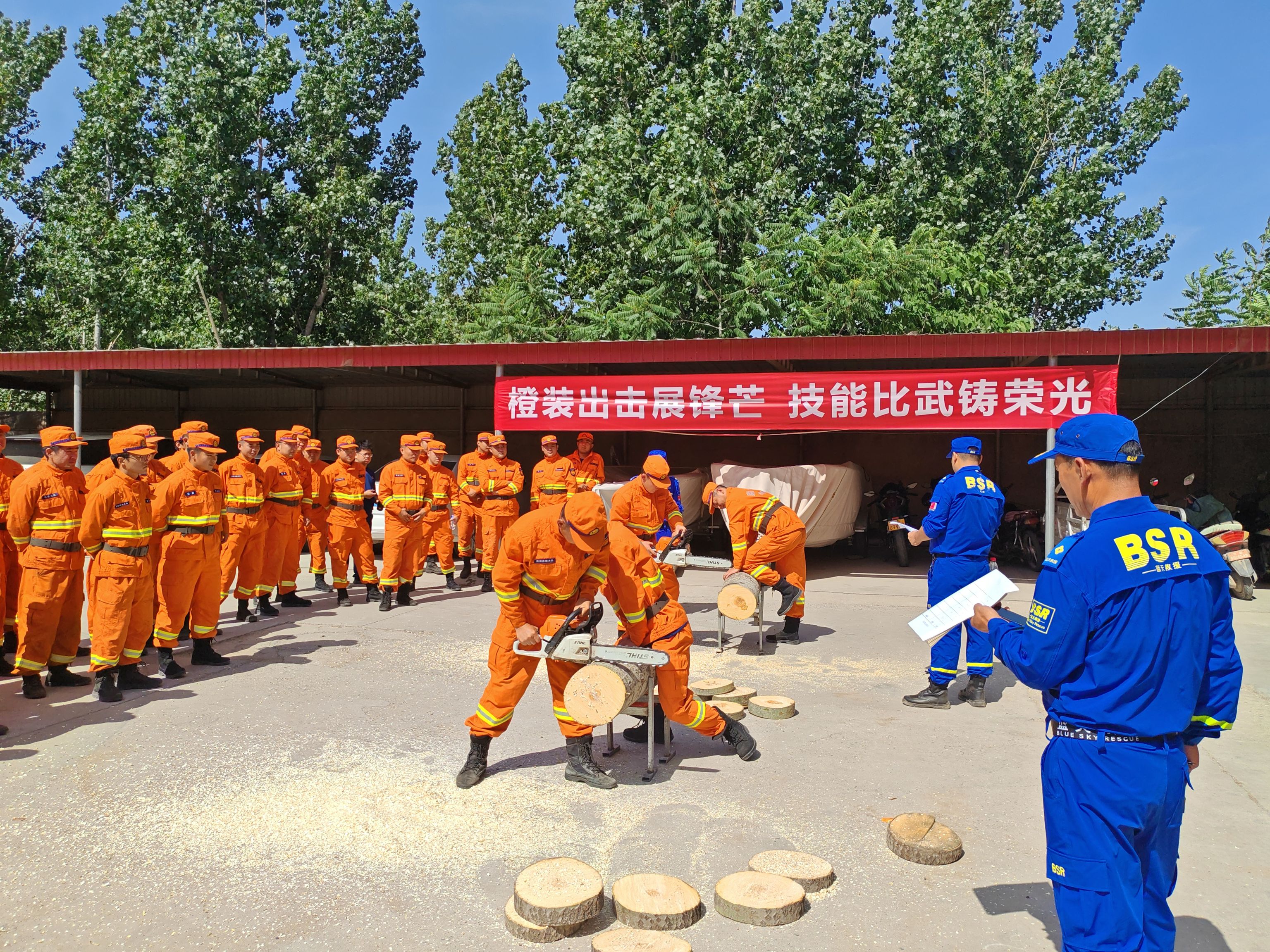 001油锯.jpg