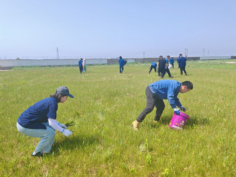 dce3e3d1f2015354e2935087258ccdf_副本.jpg